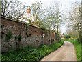 Rural lane in Whitwell Street