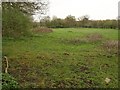 Field near Starbeck