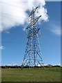 A pylon opposite Brynddu Hall