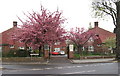 Cornwell Cottages, Hornchurch