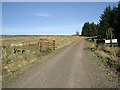 The entrance to Tanlawhill East Forestry