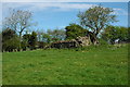 Remains of Llwynau Church