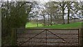 Field by Killinghurst Lane north of Hovell Copse