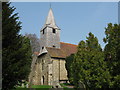 Parish Church of St Mary the Virgin, Kemsing (1)