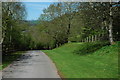 Road beside the remains of Llwynau Church