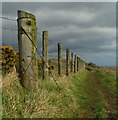 C9744 : North Antrim Cliff Path near Dunseverick by Rossographer