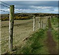 C9745 : North Antrim Cliff Path by Rossographer
