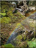 SS7249 : West Lyn River, Glen Lyn Gorge by Rob Farrow