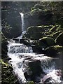 SS7248 : Waterfall, Glen Lyn Gorge by Rob Farrow