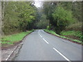 Country lane, Nowton