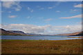 Sea loch shore at Torridon