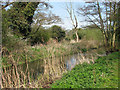 Corpusty - the River Bure