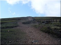 NS9534 : Nearing the summit of Tinto Hill by Stephen Sweeney