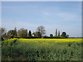 A Suffolk field