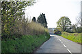 Lane to north of Cwmffrwd