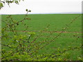 Farmland East of Octon Cross Roads