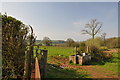 Cattle trough and hedgerows north east of Llangyndeyrn