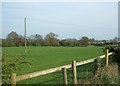 View from Marston Lane