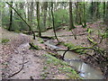 Stream flowing SE through Access land in Hammonds Wood