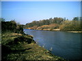 River Swale at Catterick