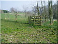 Footpath with kissing gate (1)