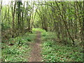 Footpath through woods near Warren Barn