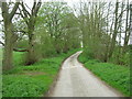 Minor Road Towards Octon Grange