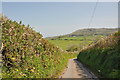 Lane to Felindre and Trysych Mill