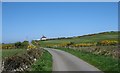 The road north towards Bryn Llawenydd