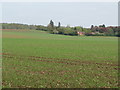 Houses at Egdean backing onto fields