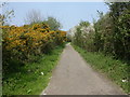 Somerford, Watery Lane