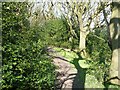 Footpath through Holmroyd Wood, near Oldfield