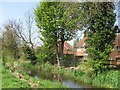 Wendover Arm:  The Reed-fringed Canal and adjacent Housing at Aston Clinton