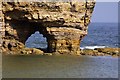 NZ4064 : Arch in Marsden Rock by Steve Daniels