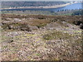 Upper Derwent Valley above Birchinlee