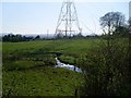 Tributary of Cochno Burn