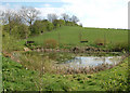 Pond south-east of Napton