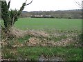 Wendover Arm:  Backed by fields and the Chiltern Hills