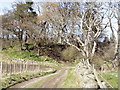 NO7896 : Castle Hill Motte by Ewen Rennie