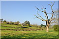 Beside New Beaupre farm track near Cowbridge