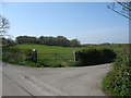 Road junction with the woodland at Tyddyn Dai in the background