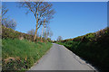 Western approach to Cefn Llwyd