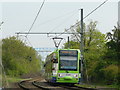 Tram Approaching the Therapia Lane Tram Stop