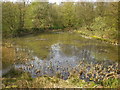 Heart Lodge, Foxhill Bank Nature Reserve