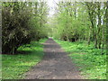 Footpath to Staplehurst