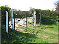 View from the churchyard gate