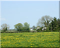 2009 : North east near Parsonage Farm