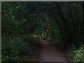 Tiverton : Railway Line Footpath