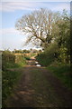 Bridleway Northwest of Semington