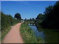 Tiverton : Grand Western Canal